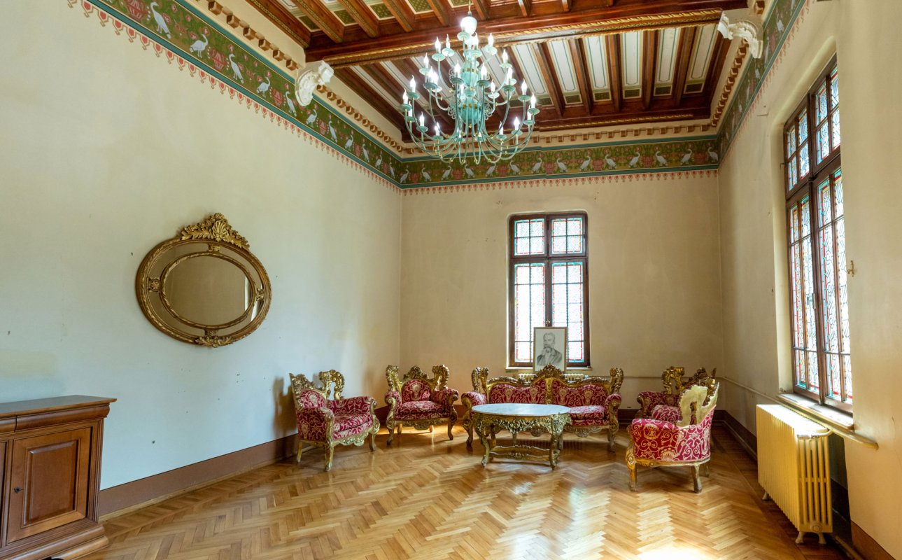 Un castel pentru arborele genealogic al Cantacuzinilor 153069