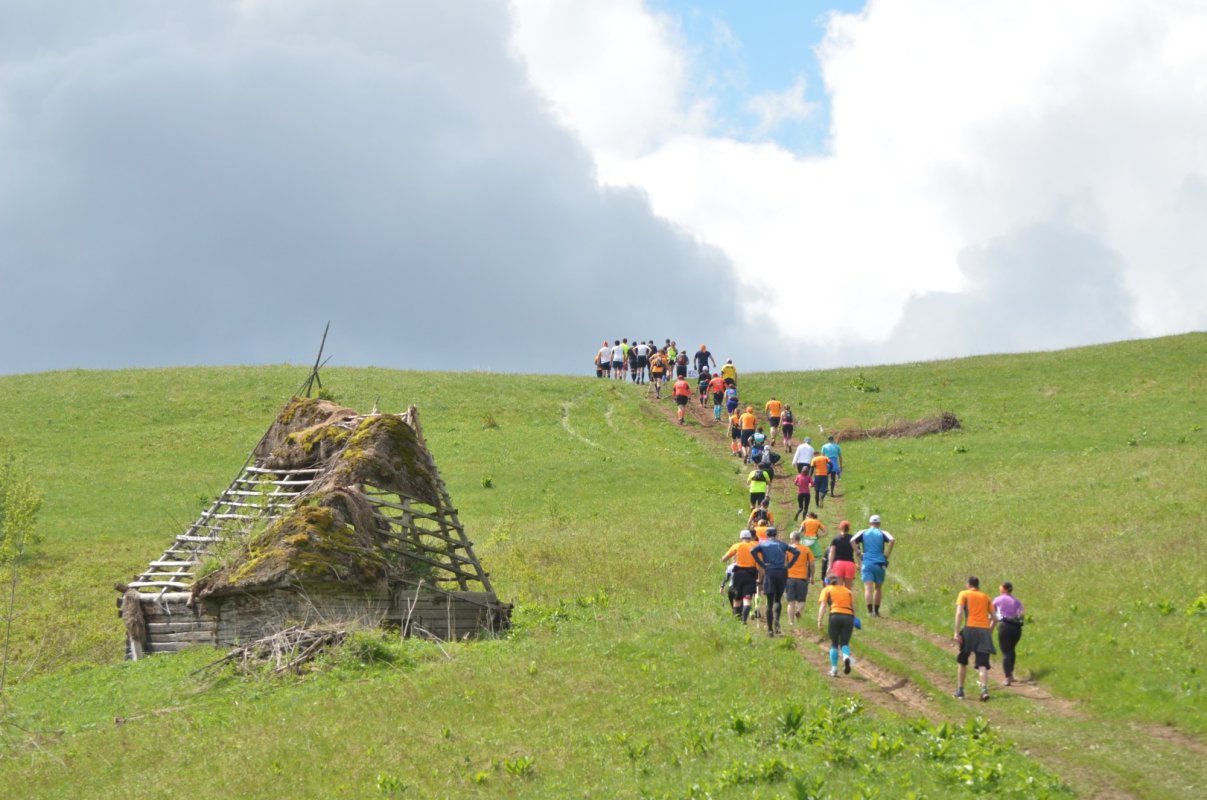 Reţea de trasee de alergare montană 153218