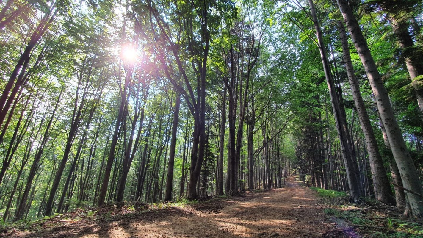 Acasă la Sfântul Daniil Sihastrul 153236