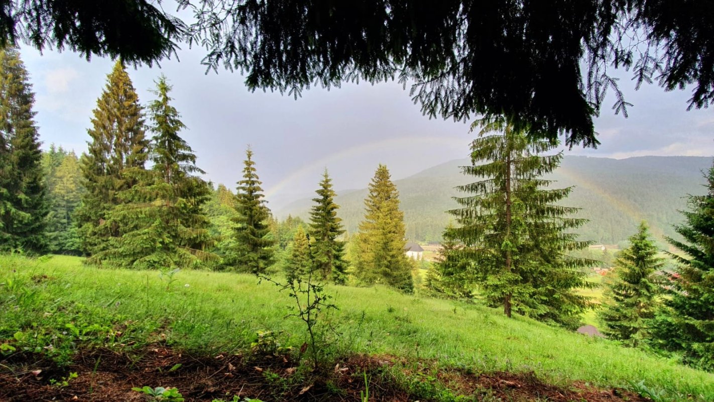 Acasă la Sfântul Daniil Sihastrul 153237