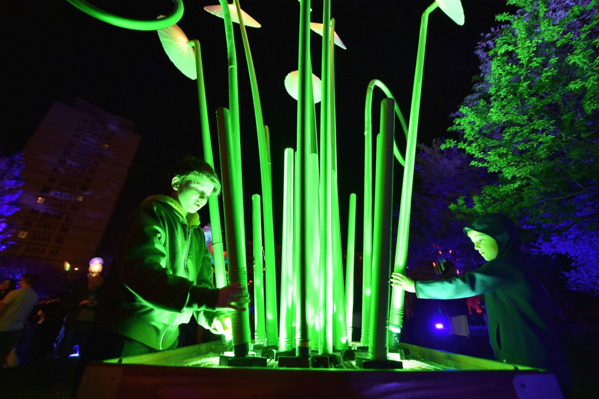 Festival de artă și tehnologie 154120