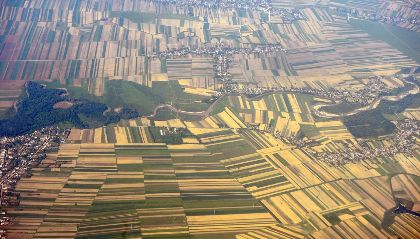 Zece priorităţi mari ale agriculturii româneşti 154371