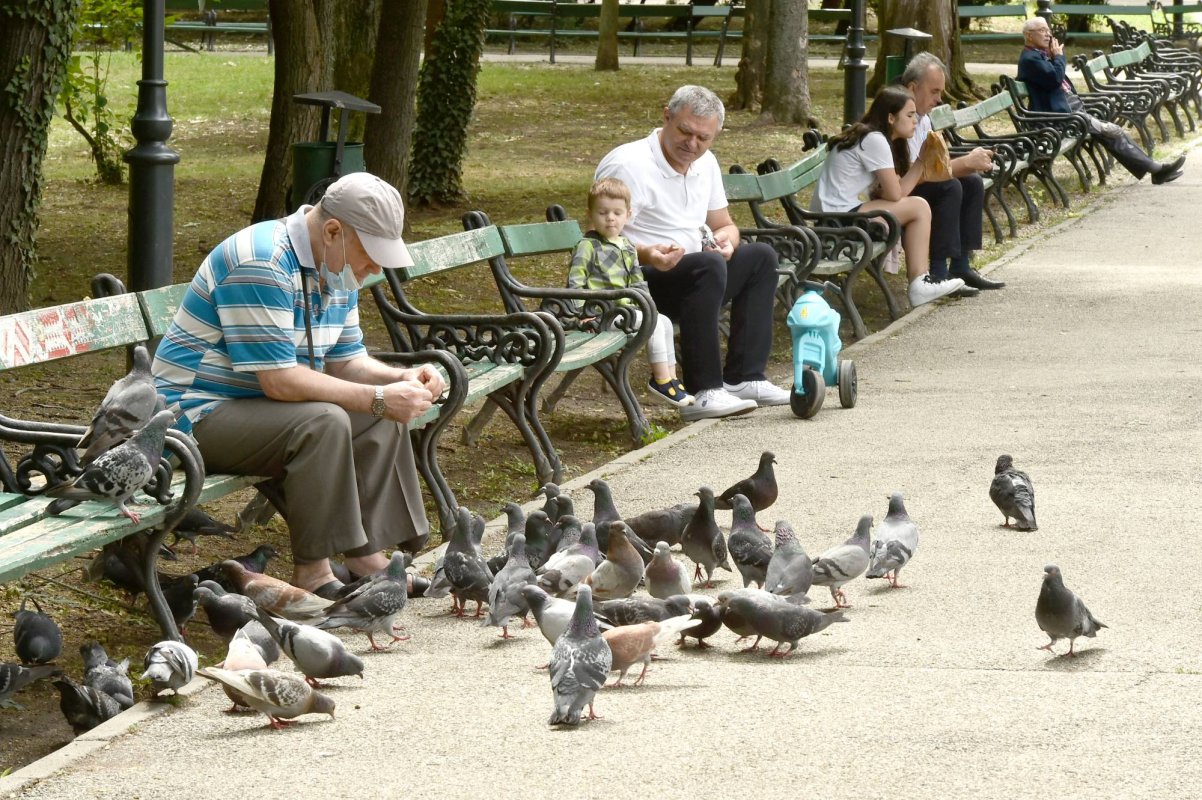 Locul 45 mondial la calitatea vieții 154452