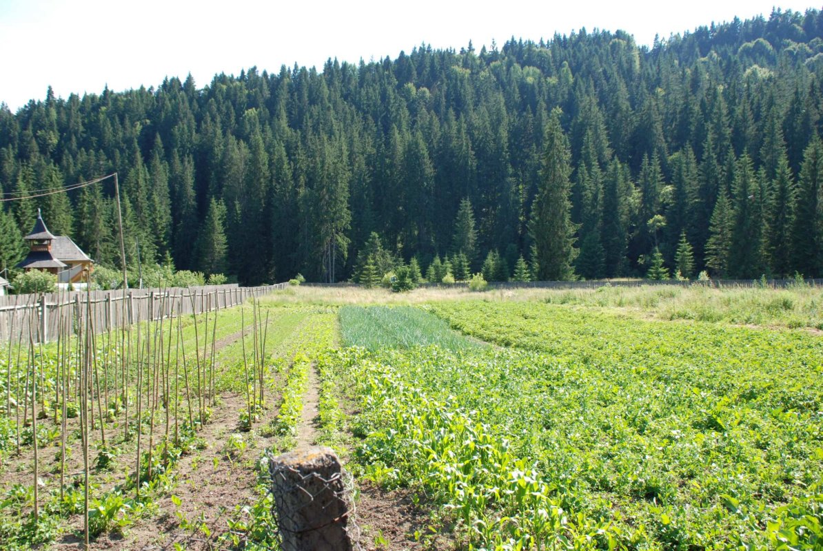 Biserica, de veghe la devenirea sufletului românesc 154380