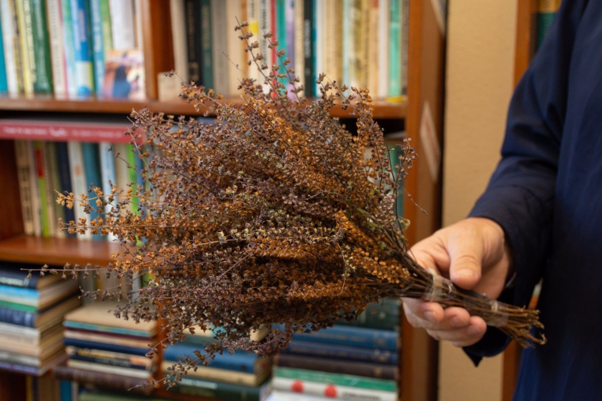 „Nu am putea trăi fără jertfa seminţei” 154479