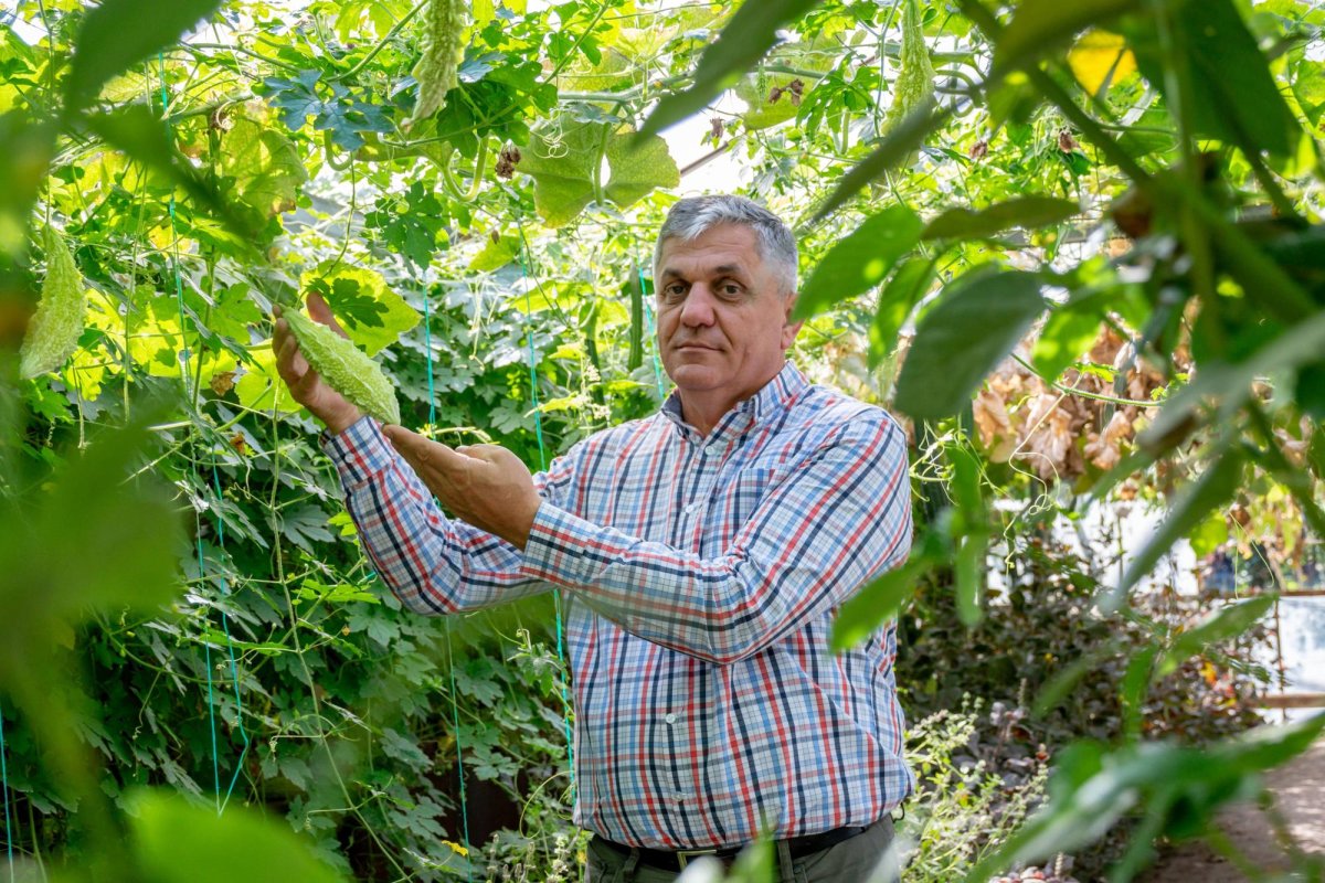 „Nu am putea trăi fără jertfa seminţei” 154486