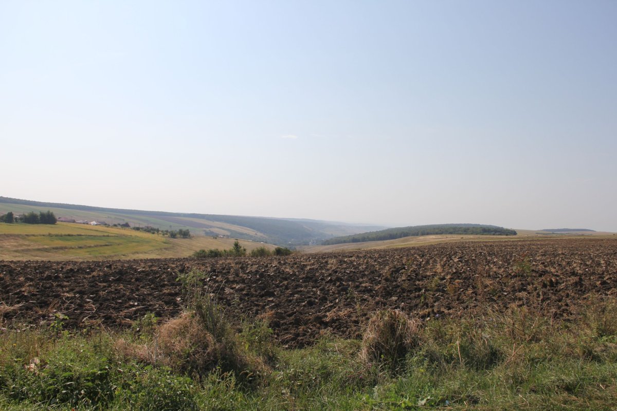 Fermele de familie pot ridica economia României 154738