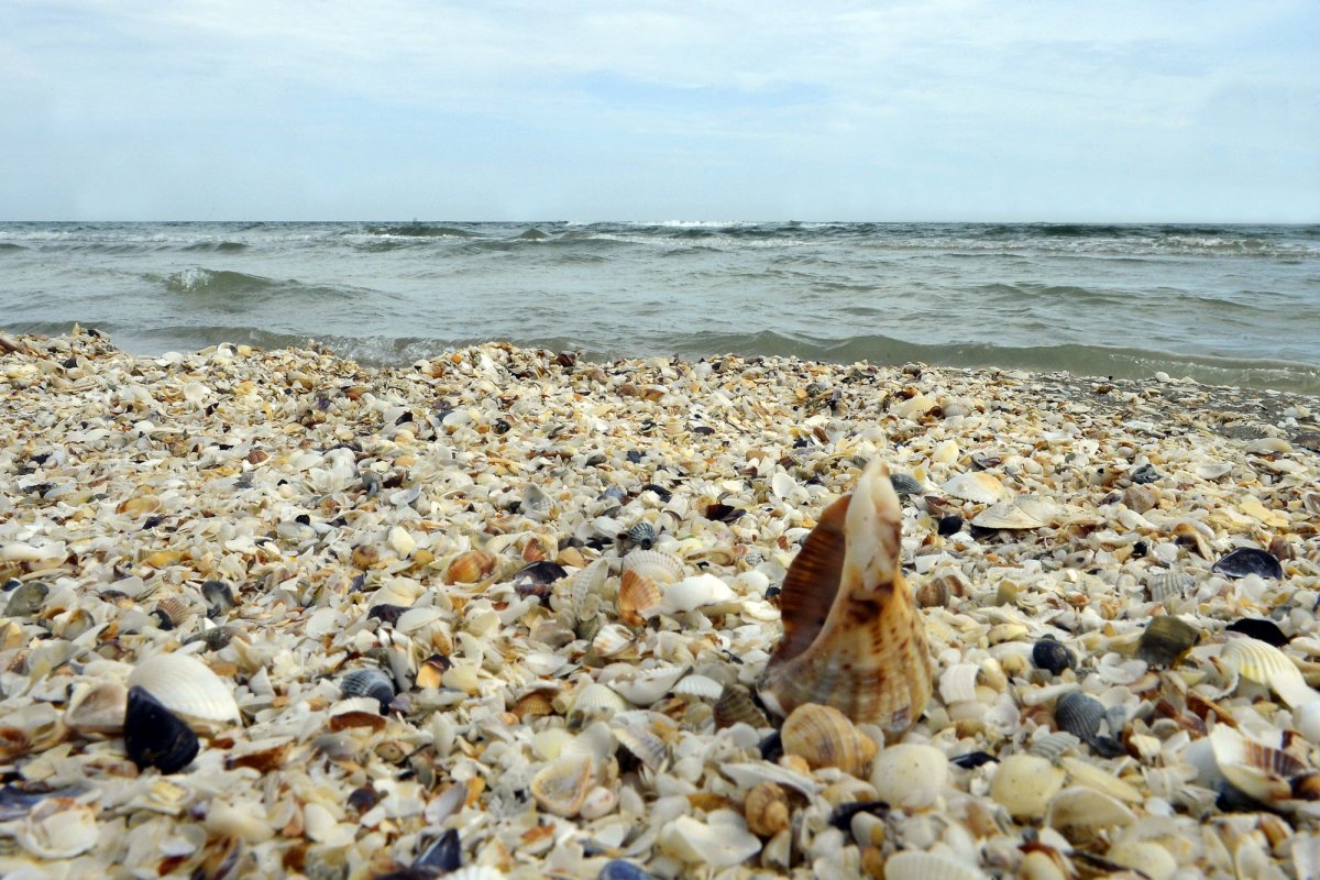 Proiect amplu de refacere a plajelor de la Marea Neagră 154746