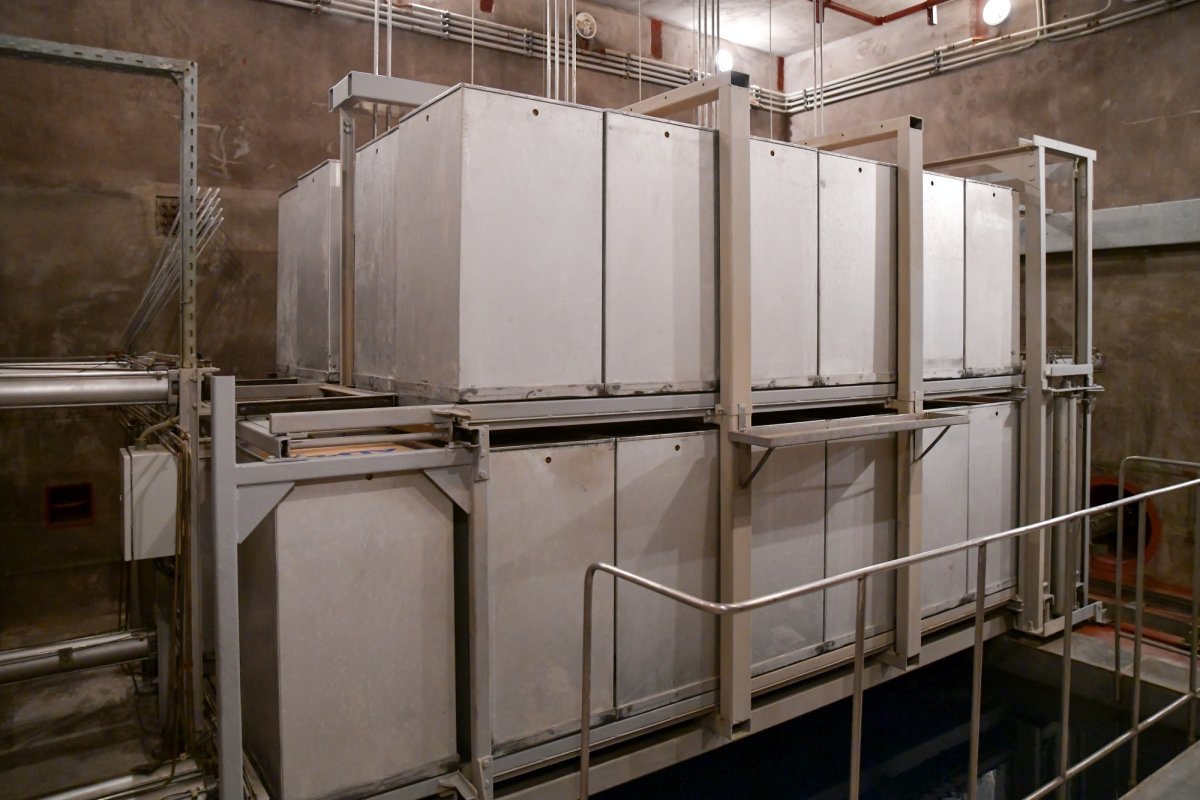 Salvarea icoanelor și a oamenilor prin fizica nucleară 154820