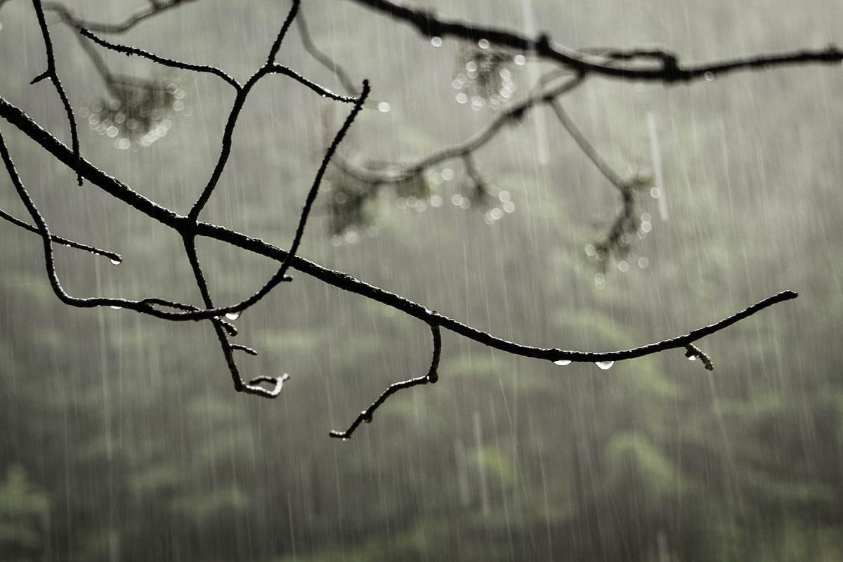 Scurtă fenomenologie a mâniei 155524