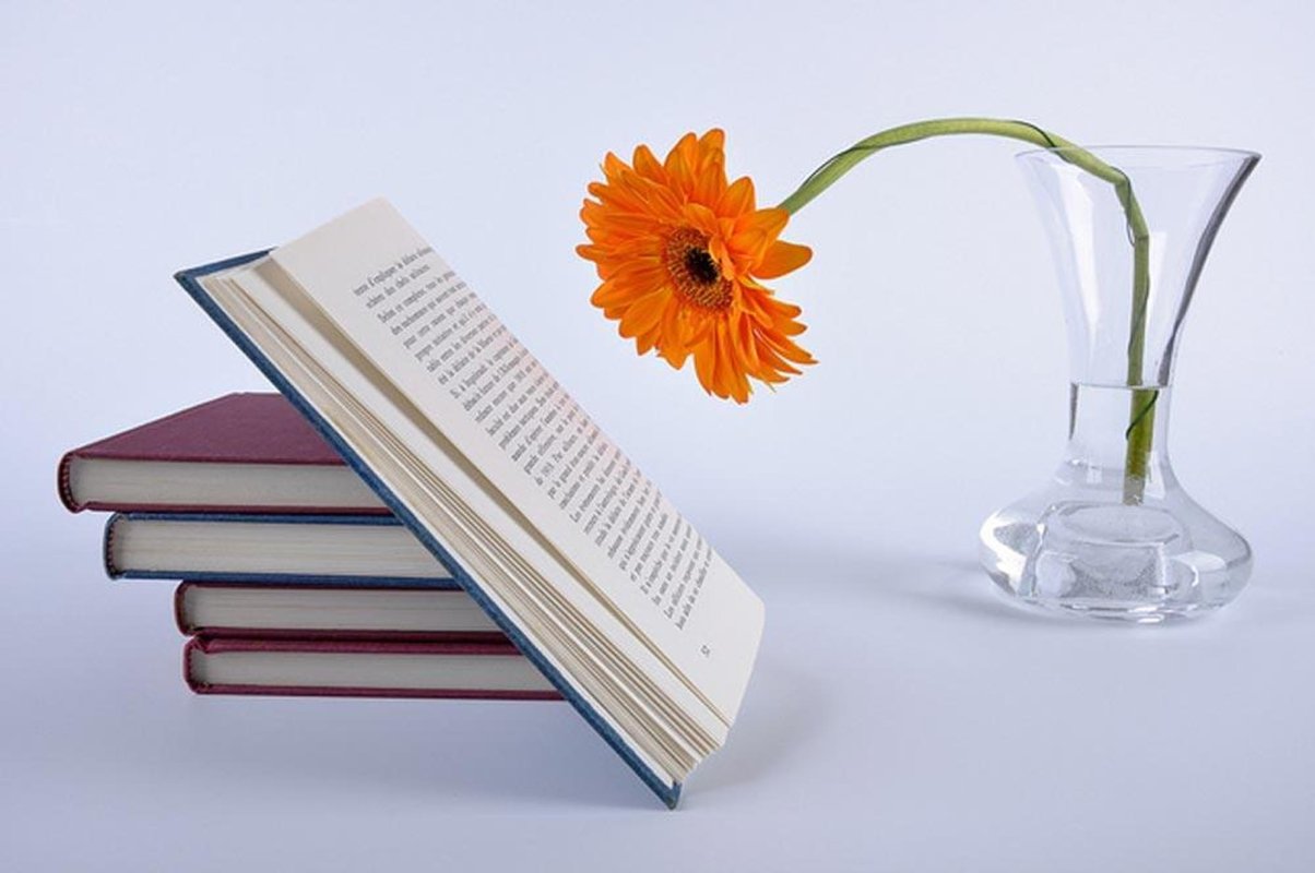 Enclave de cuviinţă şi bun-gust 156284