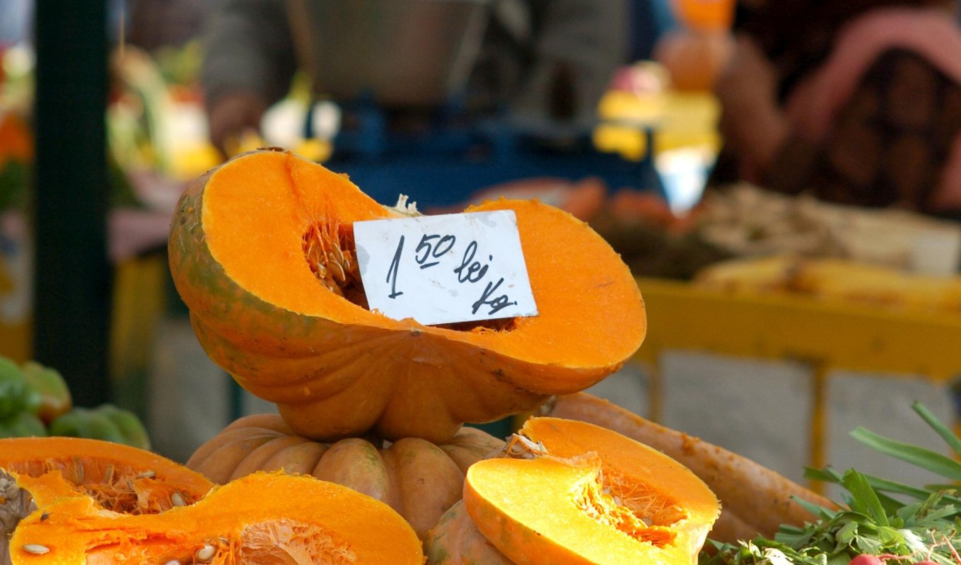 Printre marii producători de dovleac 156291