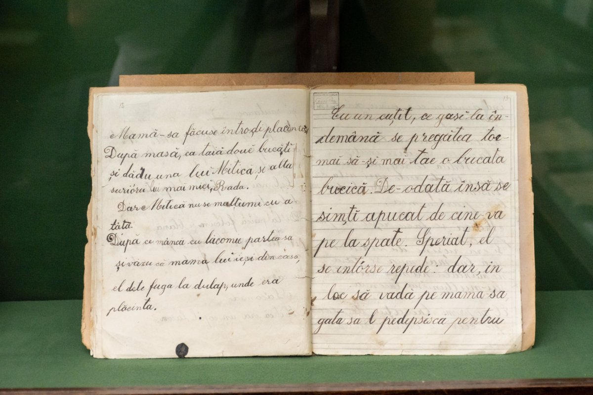 Universul plin de cărţi al lui Cezar Petrescu 157238