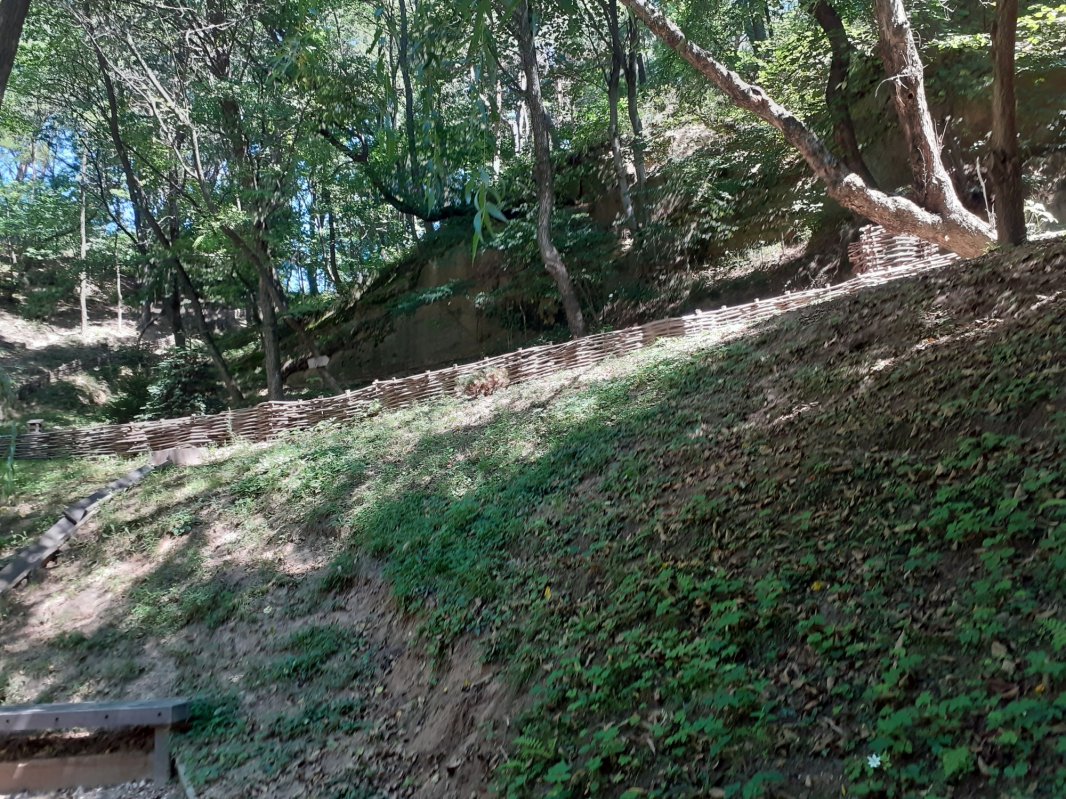 Lumina care pătrunde și sub pământ 157425