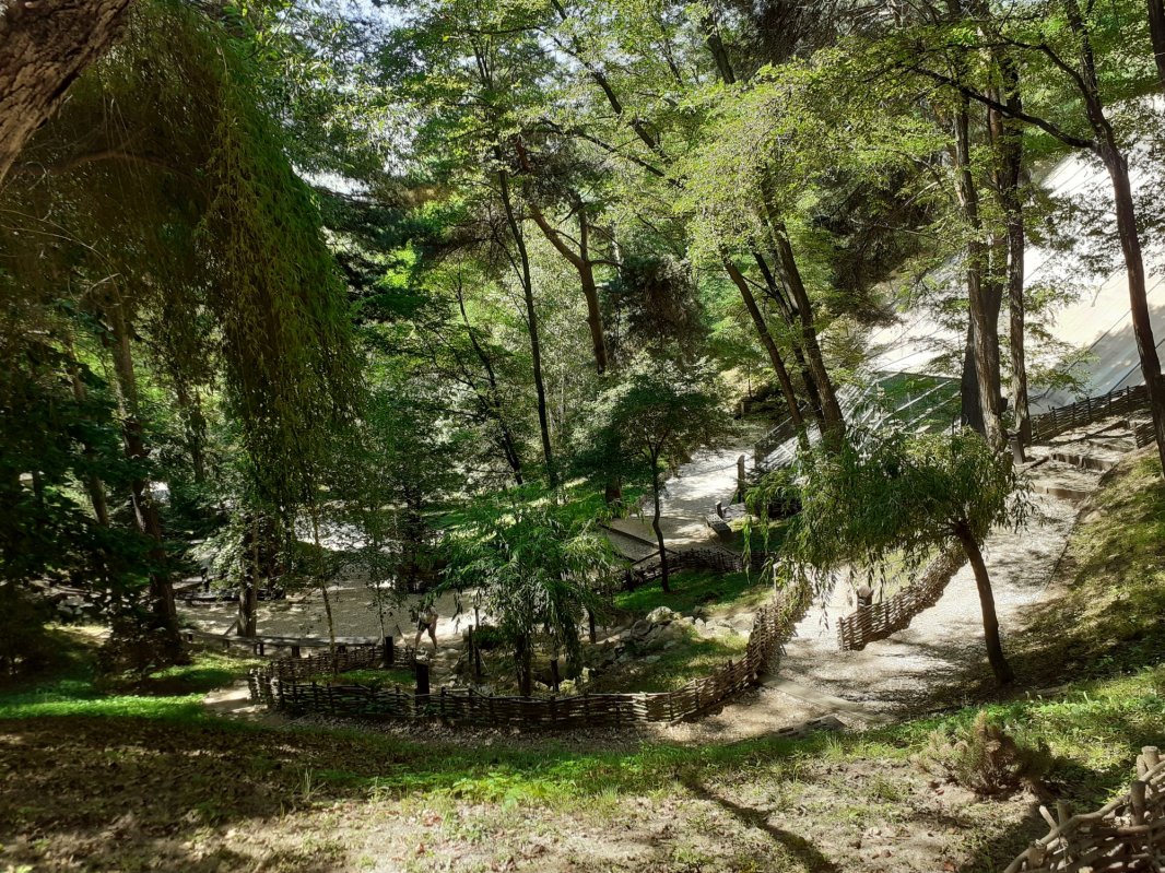 Lumina care pătrunde și sub pământ 157427