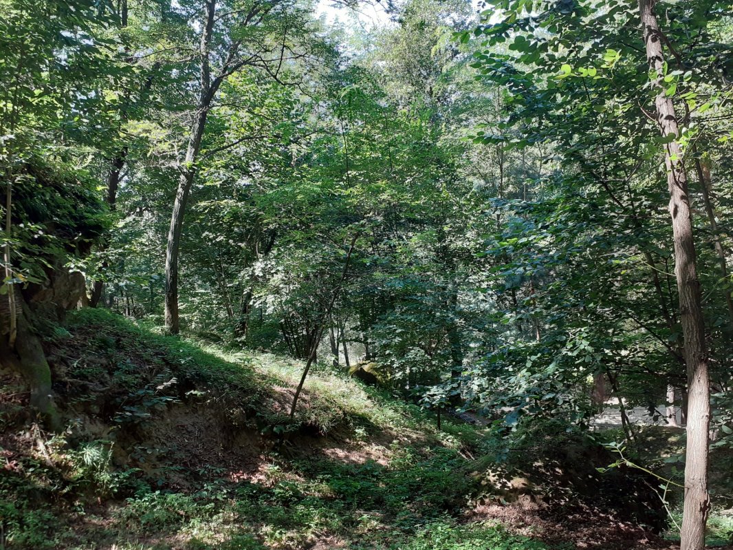 Lumina care pătrunde și sub pământ 157428