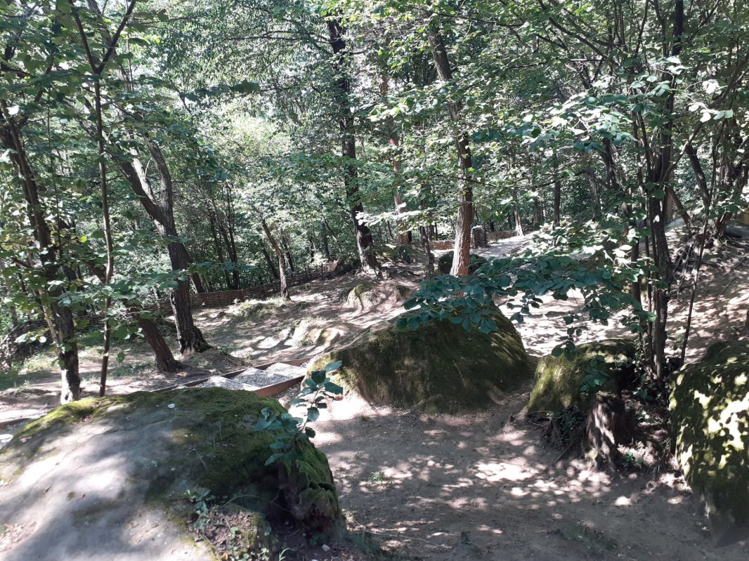 Lumina care pătrunde și sub pământ 157430