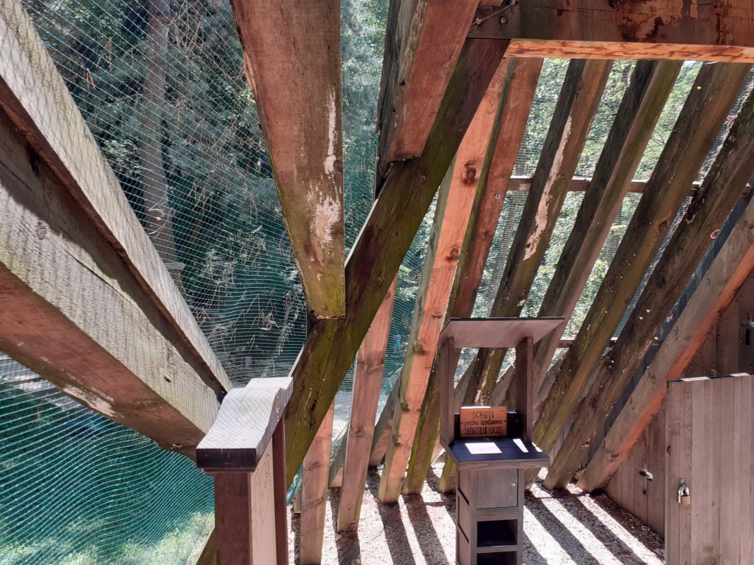 Lumina care pătrunde și sub pământ 157435