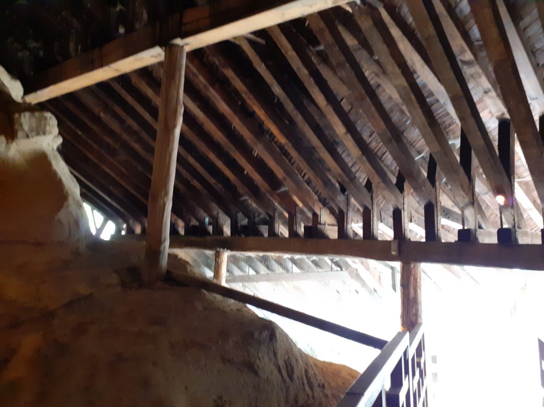 Lumina care pătrunde și sub pământ 157449