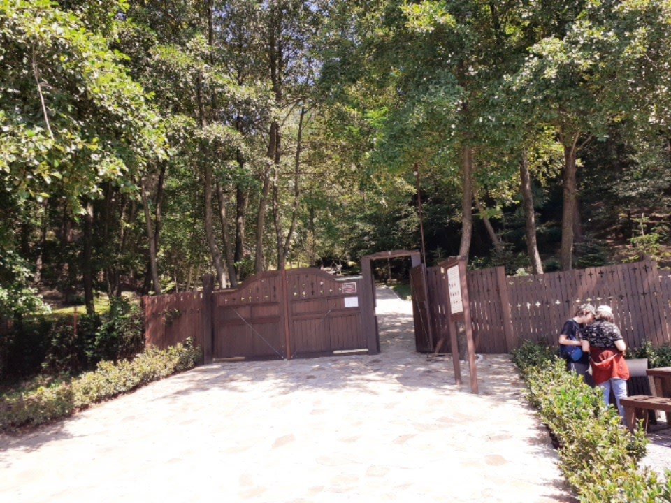 Lumina care pătrunde și sub pământ 157457