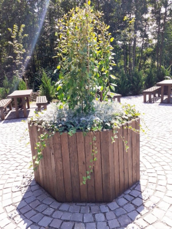 Lumina care pătrunde și sub pământ 157458