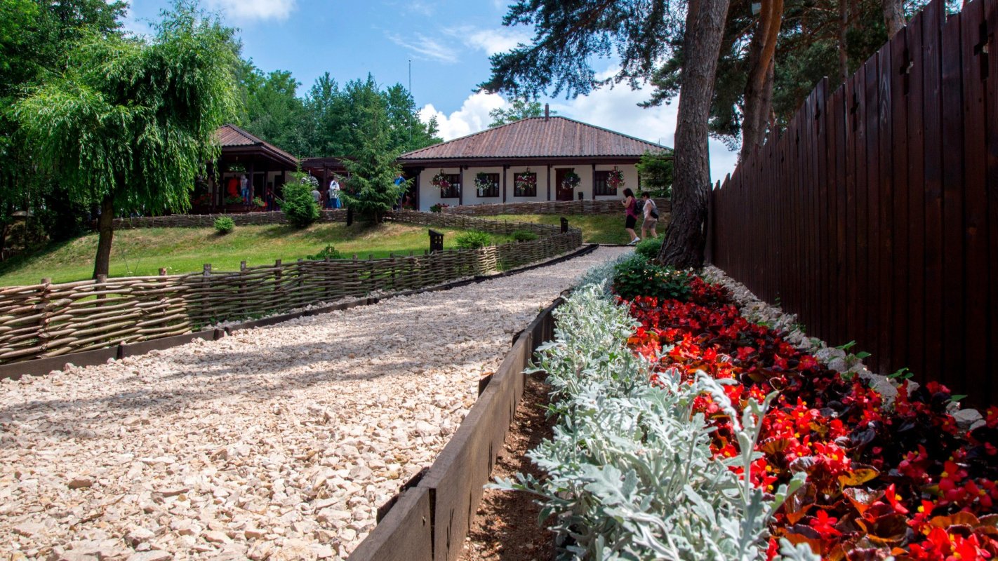 Lumina care pătrunde și sub pământ 157461