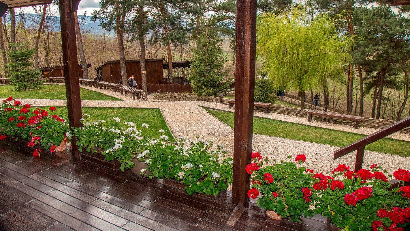 Lumina care pătrunde și sub pământ 157462