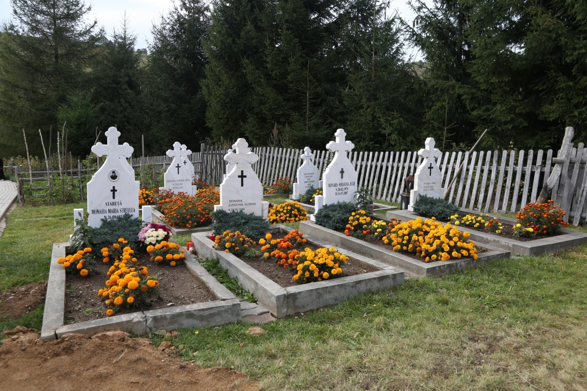 Laboratorul de sănătate de la Mănăstirea Măgura-Jina 157686