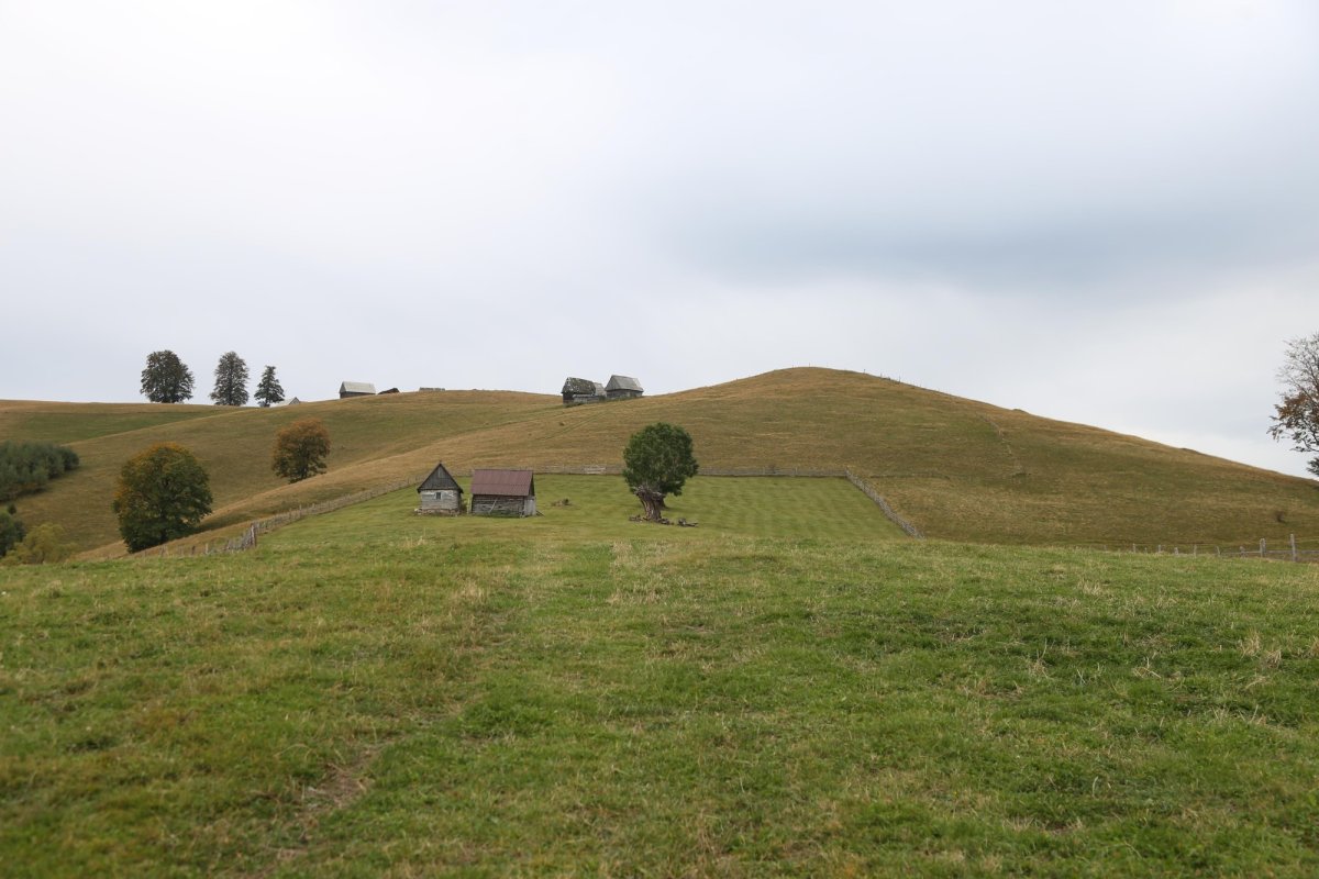 Laboratorul de sănătate de la Mănăstirea Măgura-Jina 157687