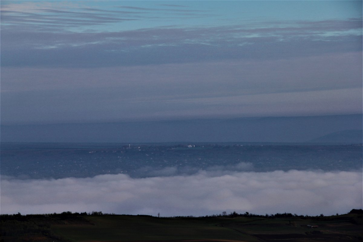 Daruri sădite de Sfântul Nicolae  la Bohotin 158626