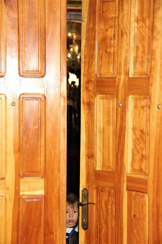 Daruri sădite de Sfântul Nicolae  la Bohotin 158629