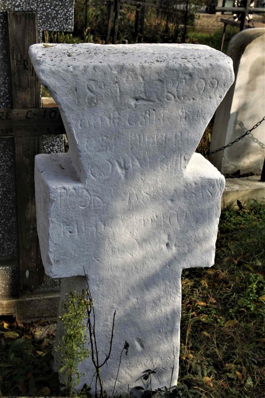 Daruri sădite de Sfântul Nicolae  la Bohotin 158630