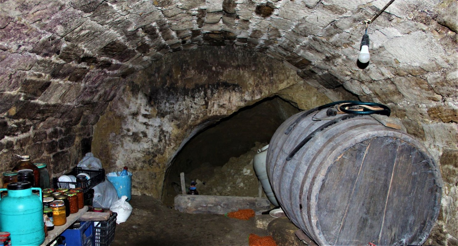 Daruri sădite de Sfântul Nicolae  la Bohotin 158640