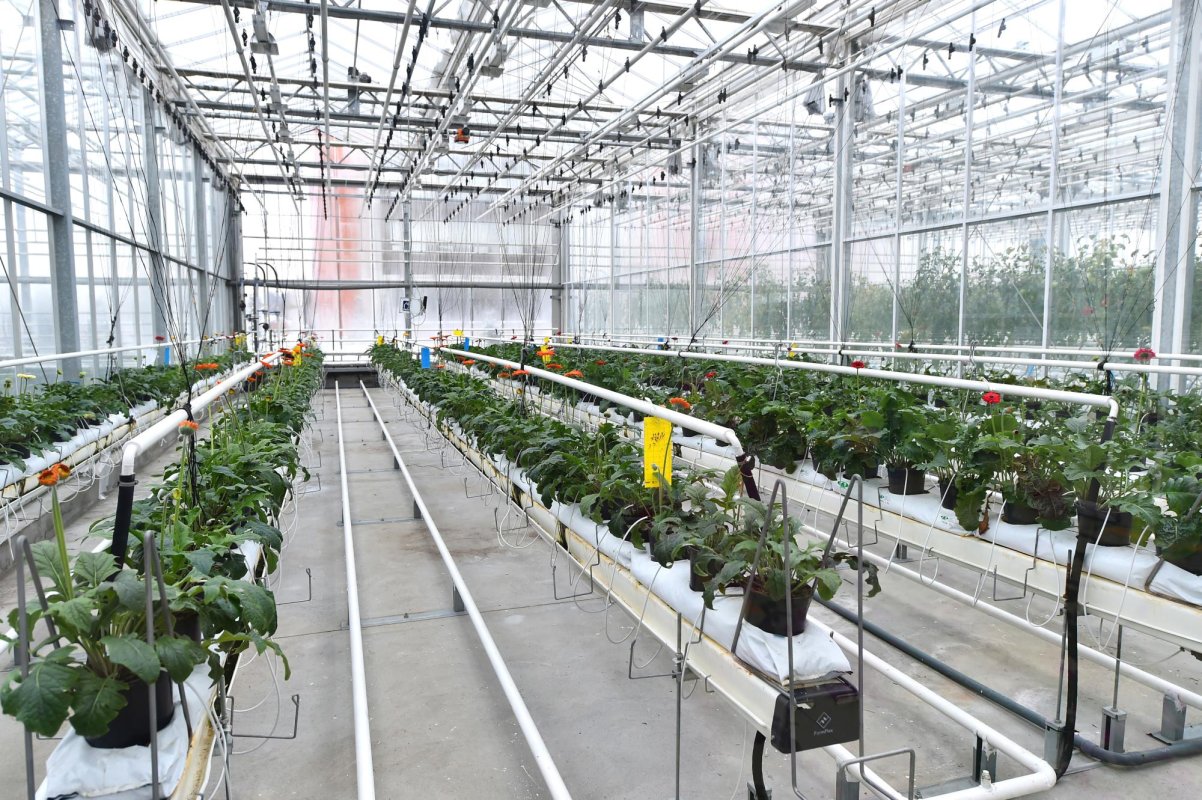 Finanțare pentru fermierii tineri 159277