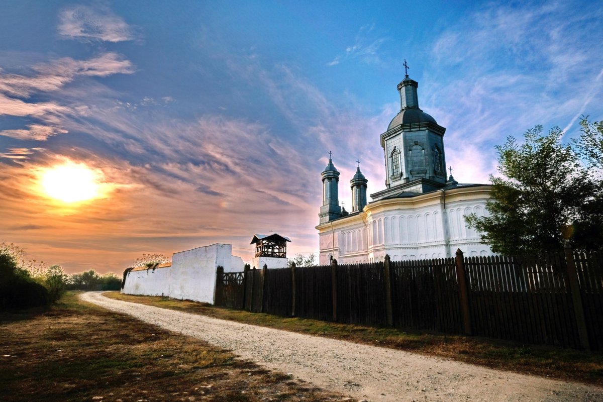 Bucuria de a cunoaște sensul 159705