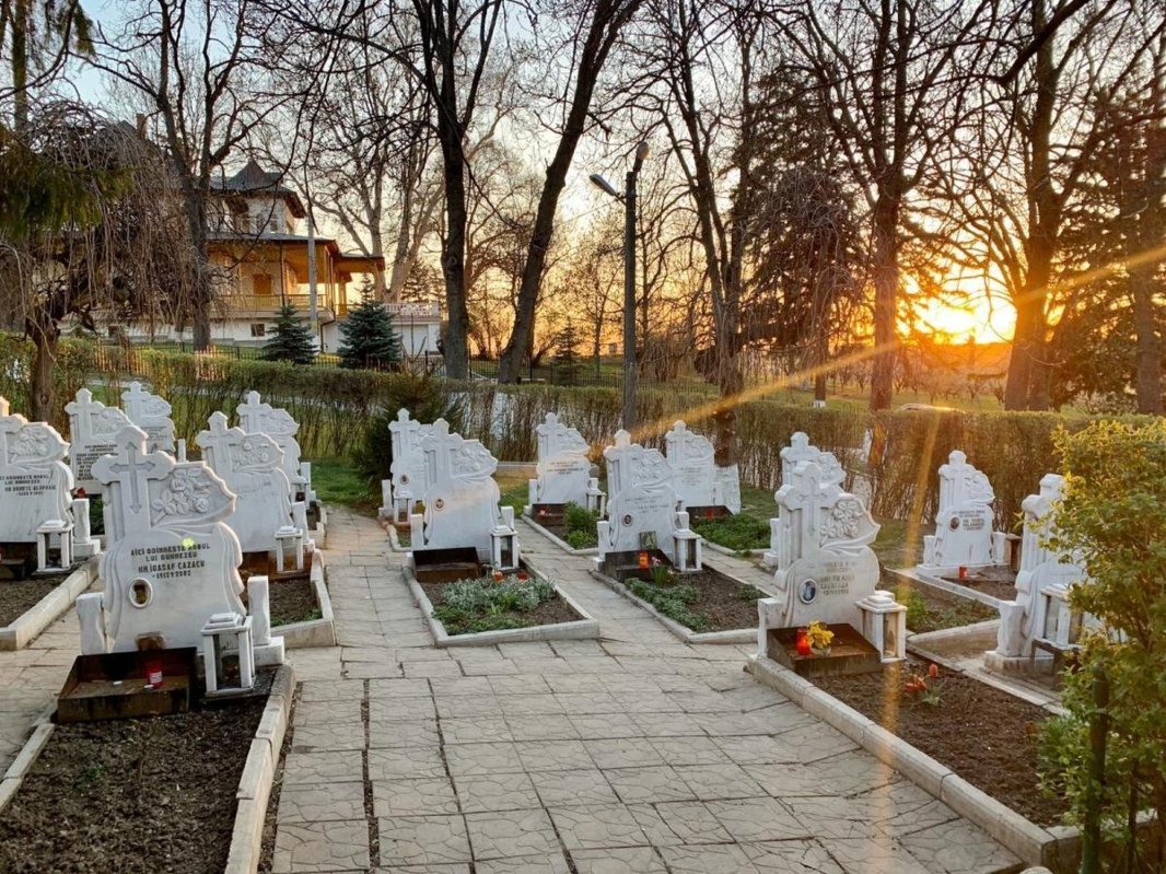 Bătrânii mei, învățătorii mei 159743