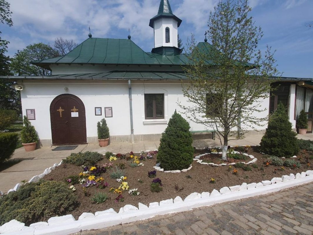 Bătrânii mei, învățătorii mei 159744