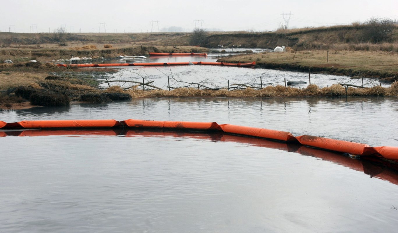 Începe ecologizarea râului Cerna 161546