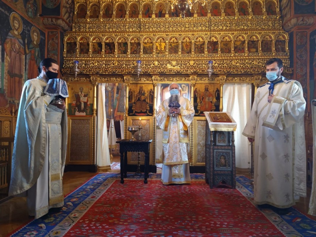 Sfântul Cuvios Antonie cel Mare cinstit  în eparhii oltene 162069