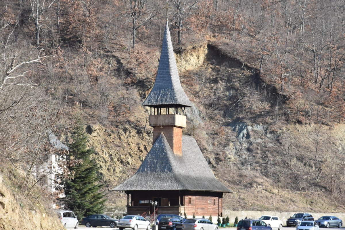 Sfântul Cuvios Antonie cel Mare cinstit  în eparhii oltene 162071