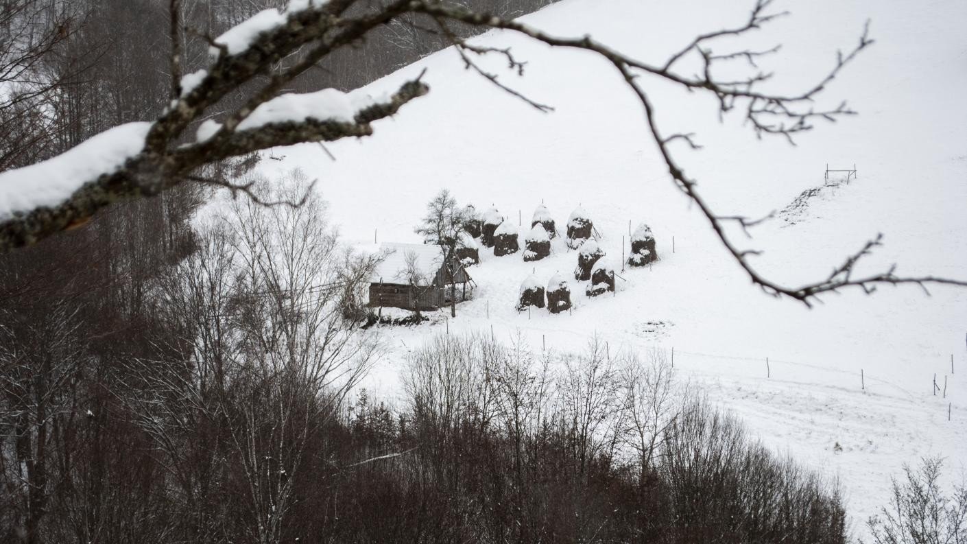 Acțiune umanitară în Parohia Întregalde I, Alba 162320