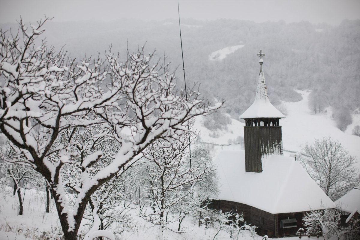 „Noi am uitat  ce înseamnă bucuria simplă” 162642