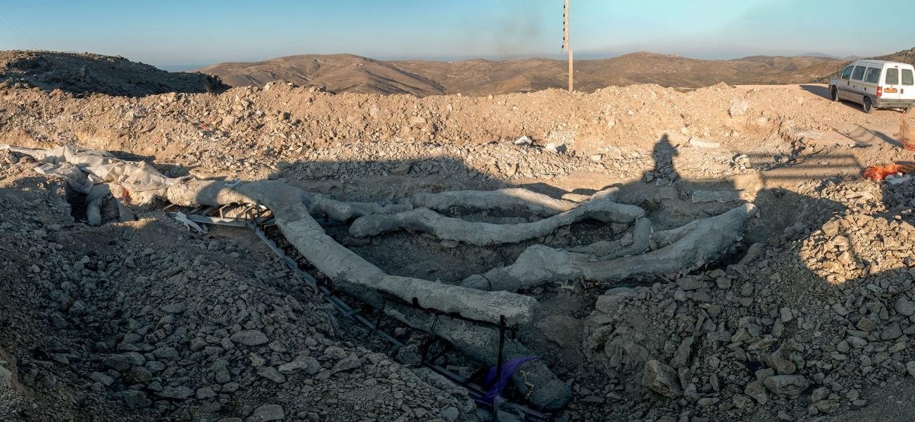 Descoperire rară în Grecia 162984