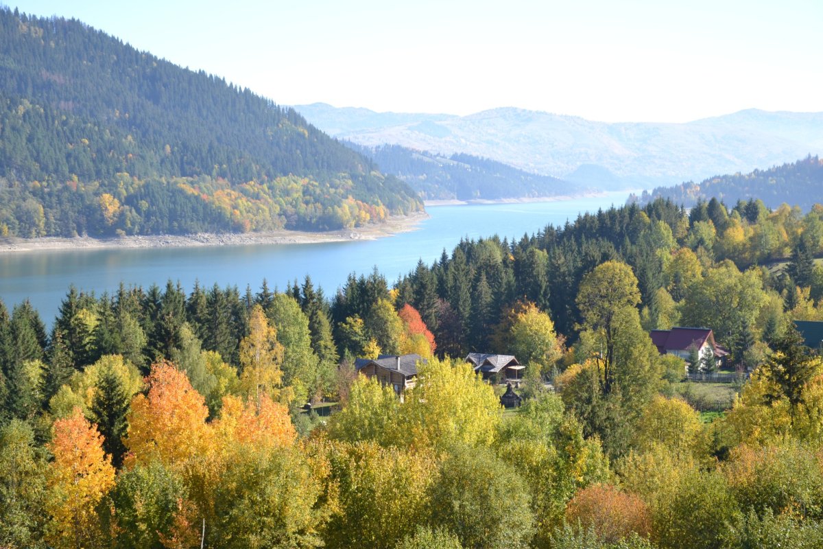 Cimitirele strămutate, o istorie uitată 163310