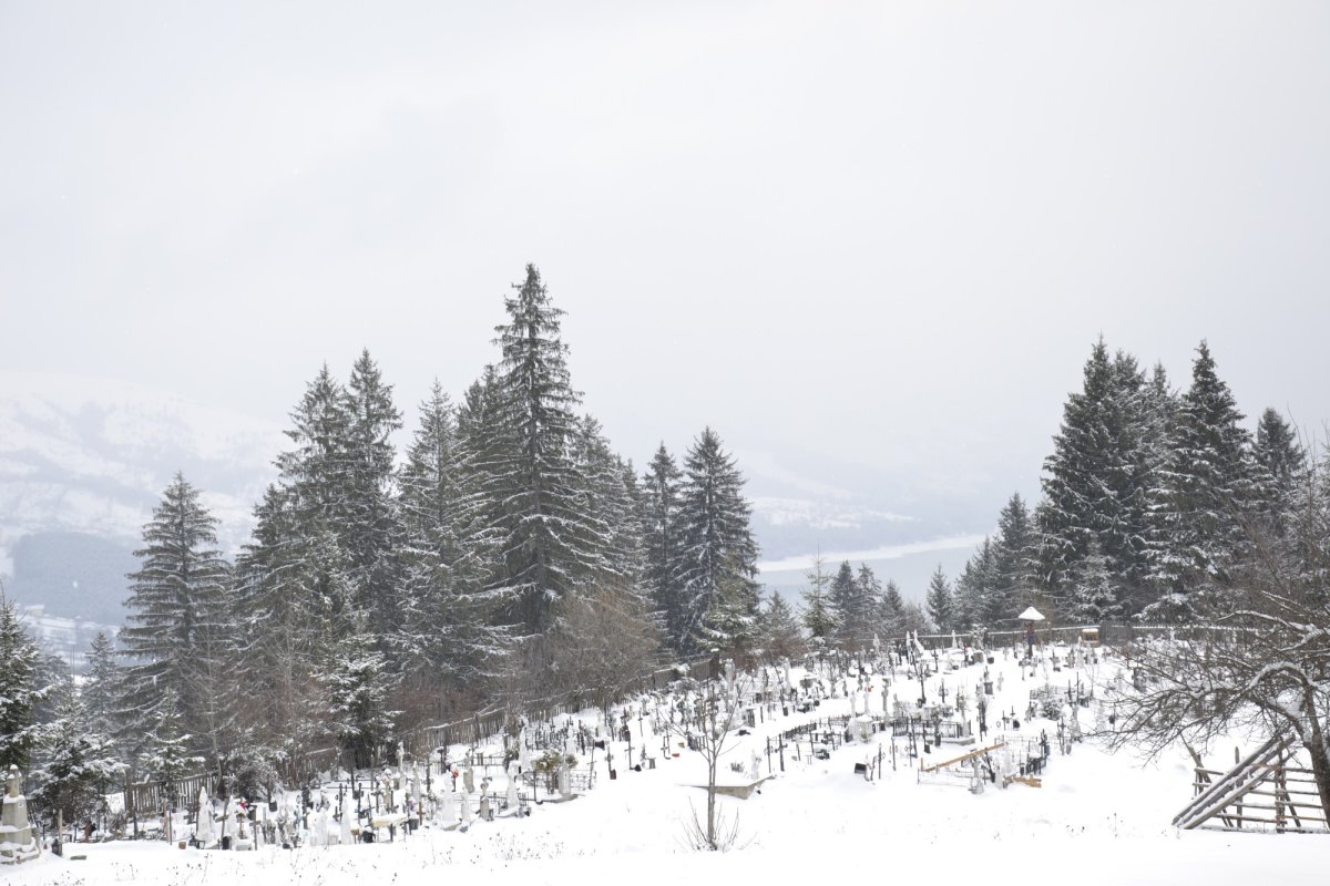 Cimitirele strămutate, o istorie uitată 163314