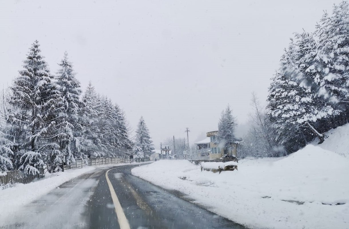 Proiecte la Soveja pentru repatrierea localnicilor plecați 163361