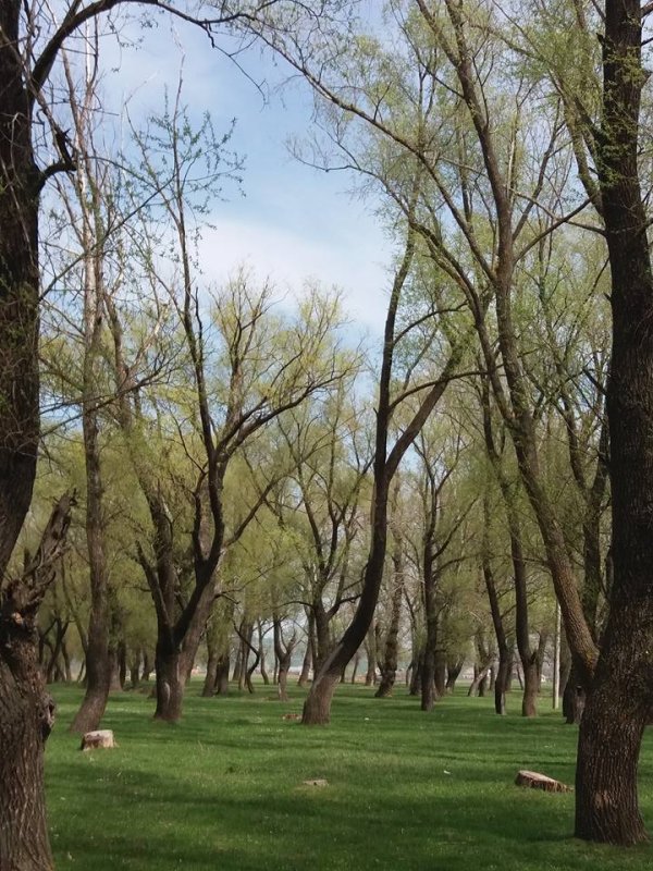 „O datorie față de istorie” 163231