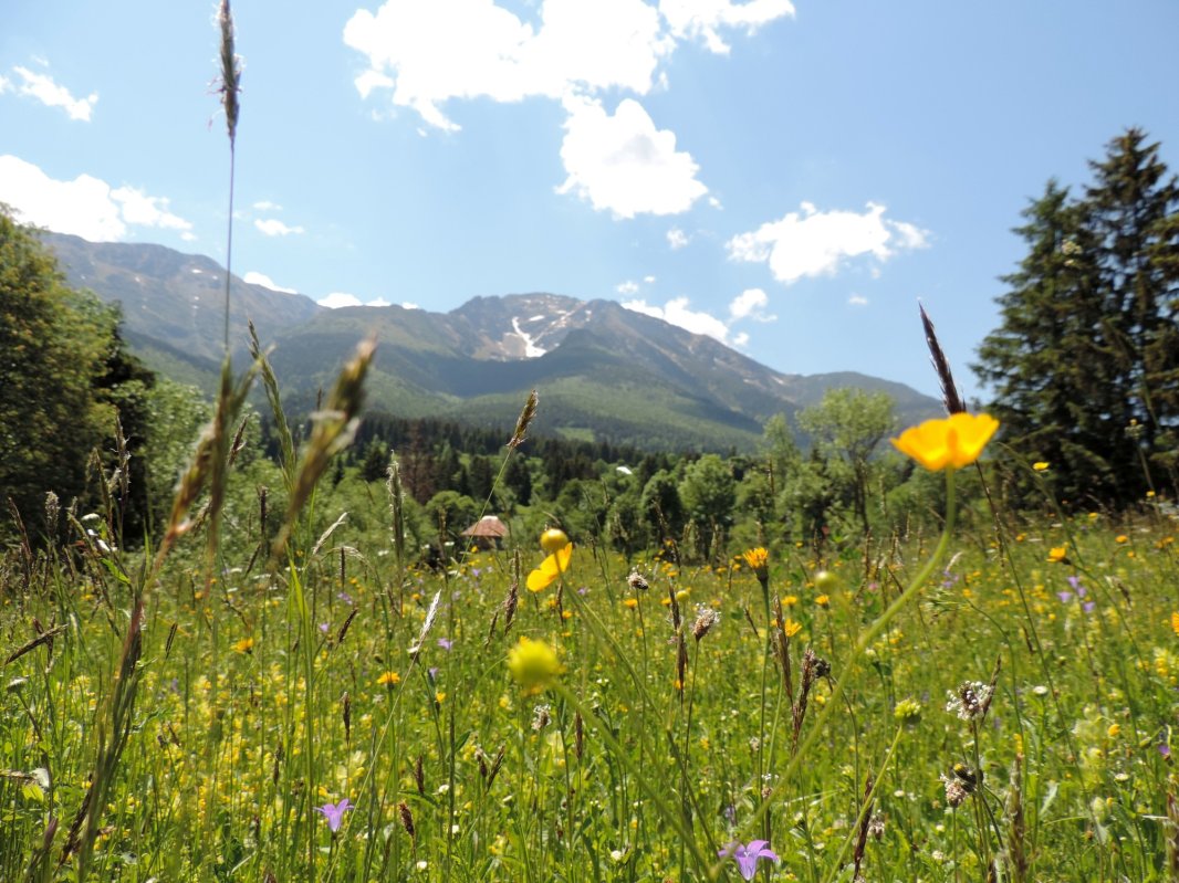 Spiritualitate și dăruire la Mănăstirea Pietroasa-Borșa 163386