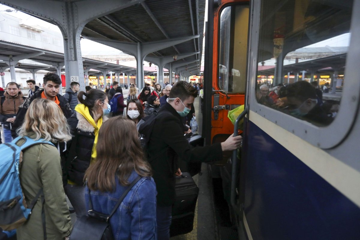 50% gratuitate la transport pentru studenţi 163735