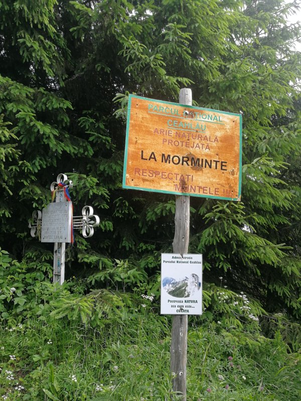 Cimitirele ostășești din Moldova, o reverență  în memoria eroilor 163858